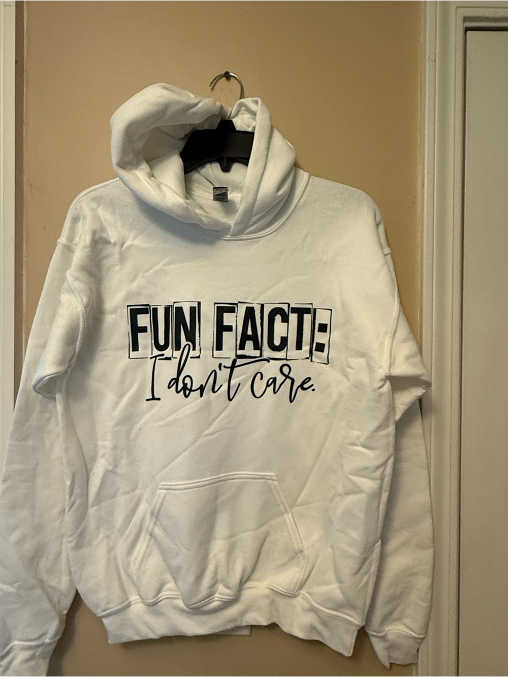 Gildan White Hoodie with Black "FUN FACT: I don't care." Graphic